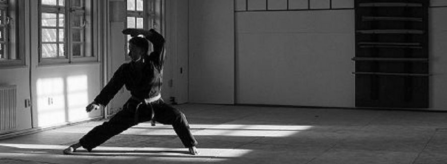 Hapkido