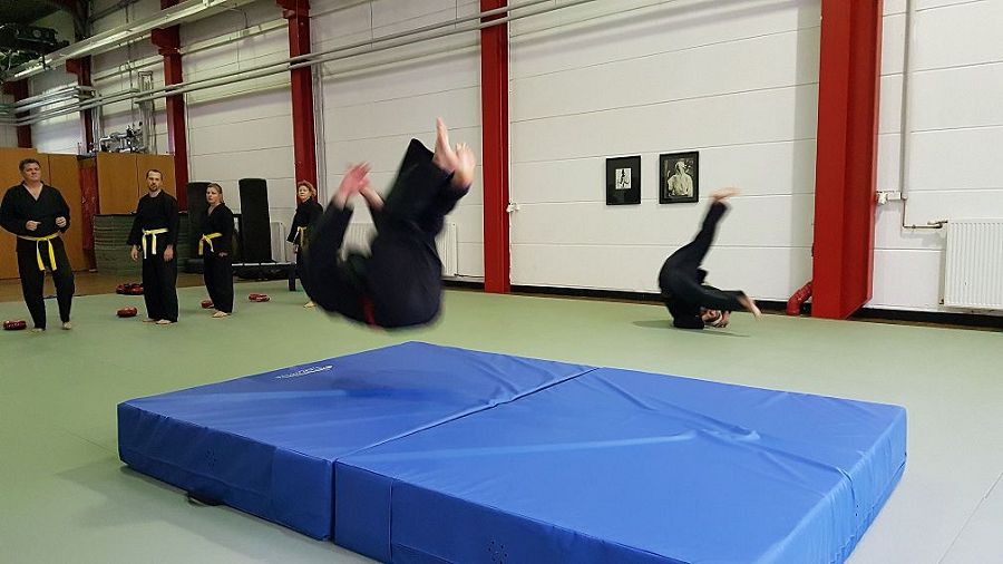 Hapkido