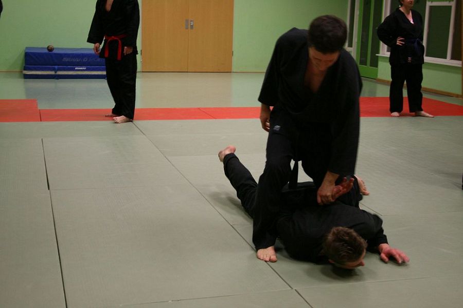 Hapkido