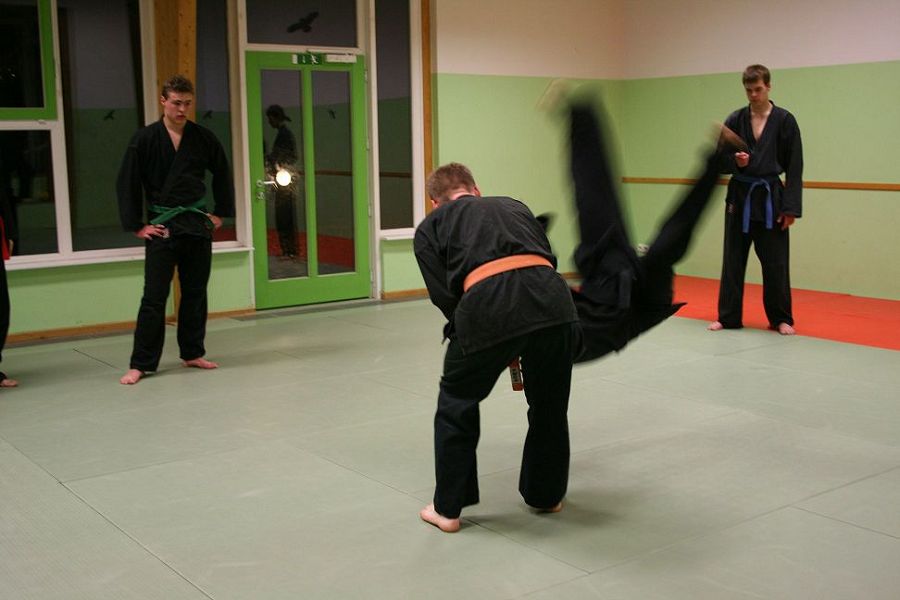 Hapkido