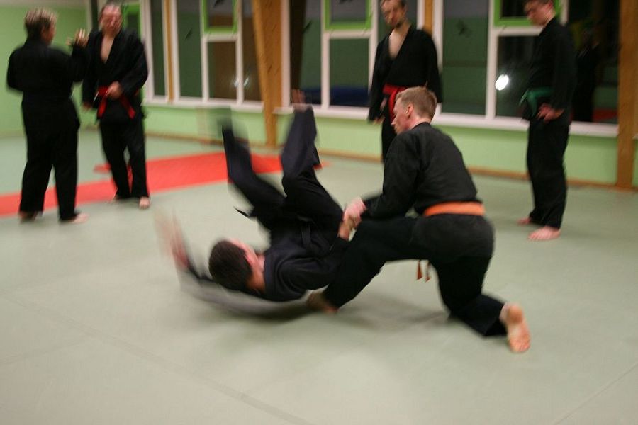 Hapkido