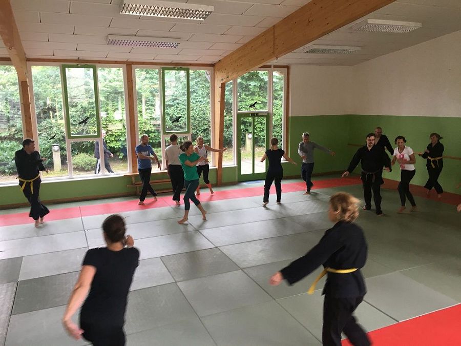 Hapkido