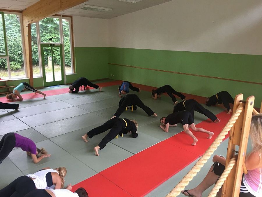 Hapkido