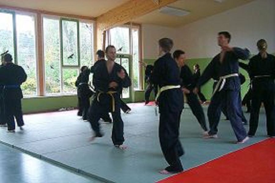 Hapkido